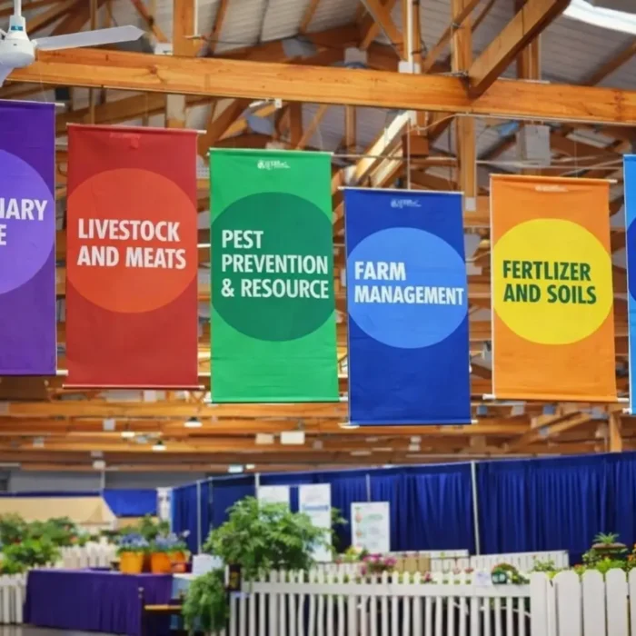 CELING FLAGS