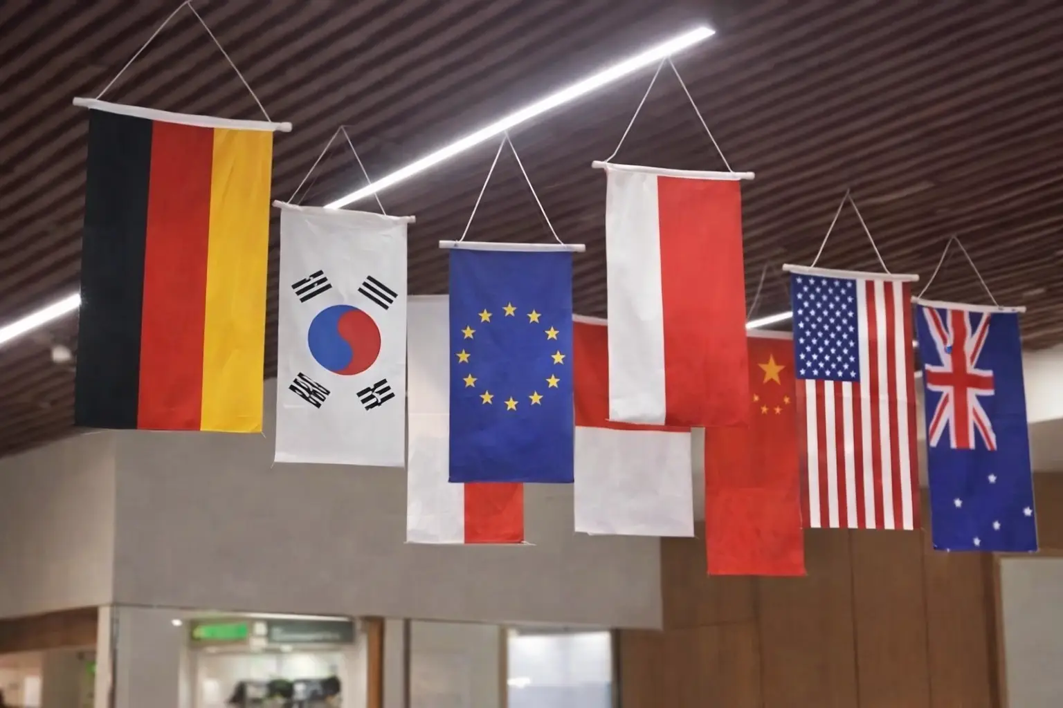 CELING FLAGS - Image 3