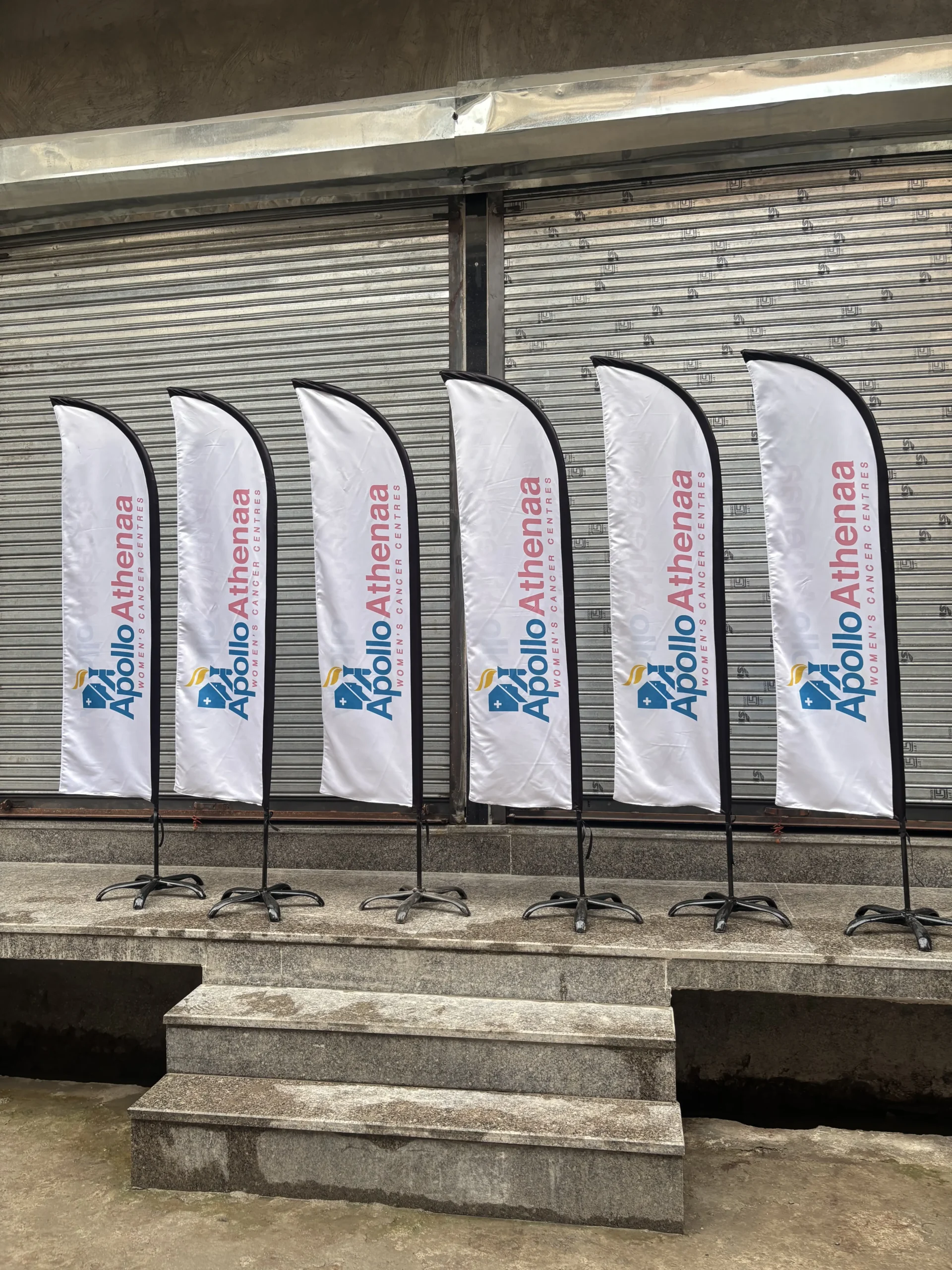 PROMOTIONAL FLAG - Image 2